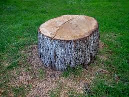Best Tree Risk Assessment  in Franconia, VA