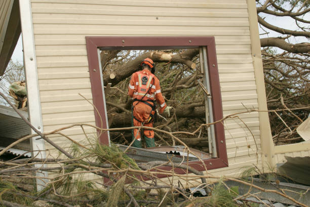 Best Root Management and Removal  in Franconia, VA